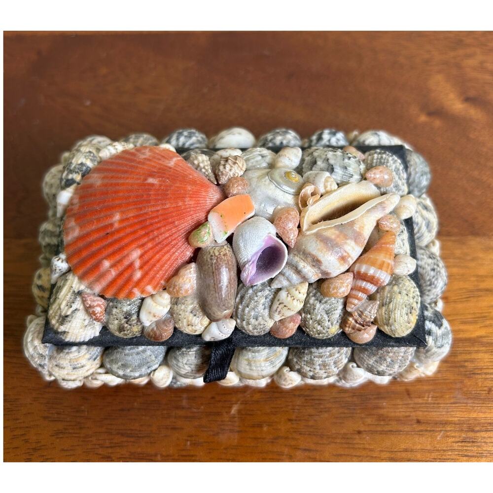 One of a Kind Seashell Trinket Box